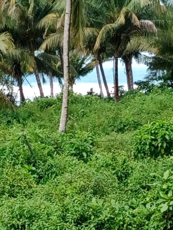 Rumah Nalu Surf Camp Krui ภายนอก รูปภาพ